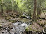81 Mirror Lake Crossing - Photo 17