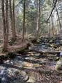 93 Mirror Lake Crossing - Photo 11