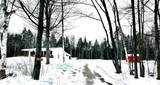 794 White Road - Photo 3