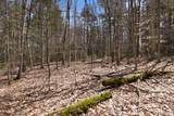 0 Puckerbrush Road - Photo 15