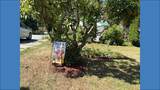 119 Merrill Street - Photo 18