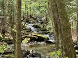 81 Mirror Lake Crossing - Photo 18