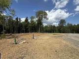 81 Mirror Lake Crossing - Photo 4