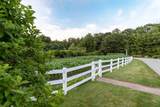 33 Hampton Meadows - Photo 38
