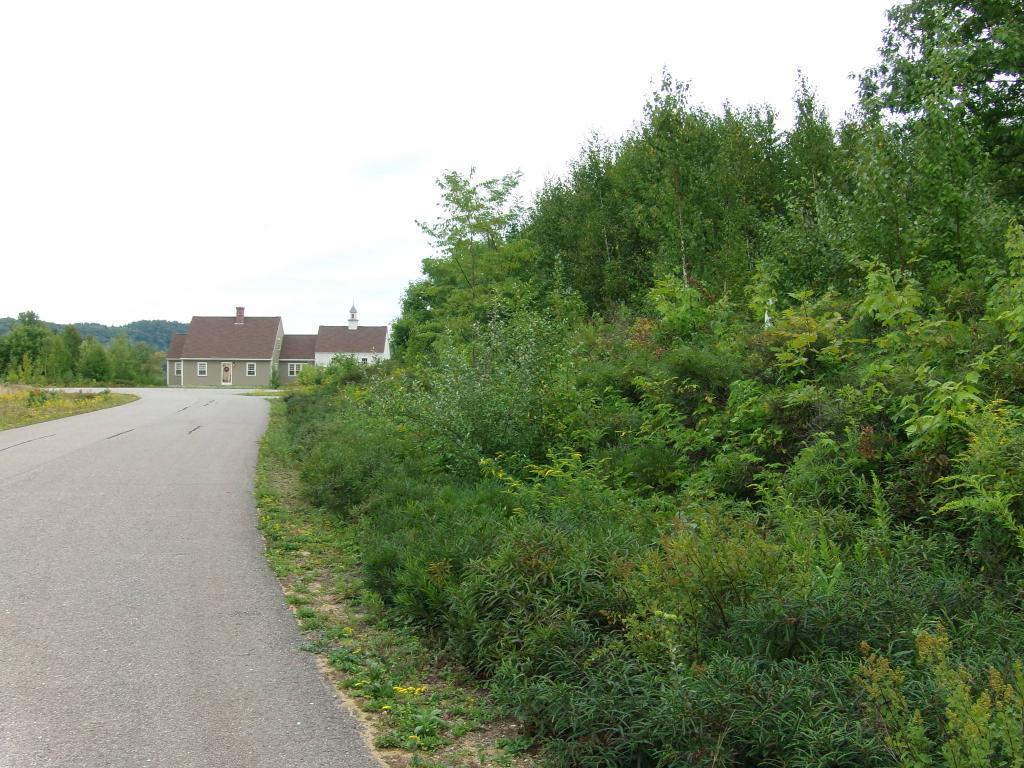 L Willowgrass Lane - Photo 1