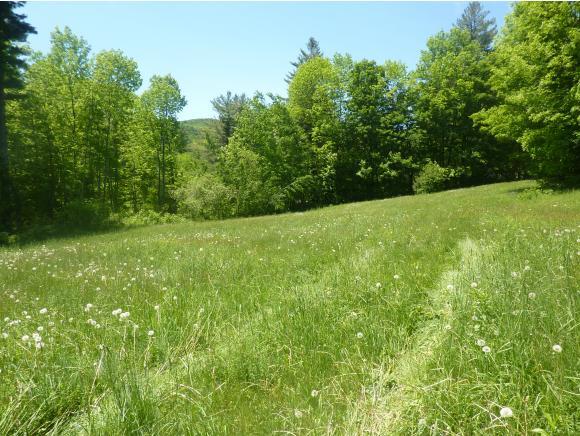 2078 Warren Mountain Road - Photo 1