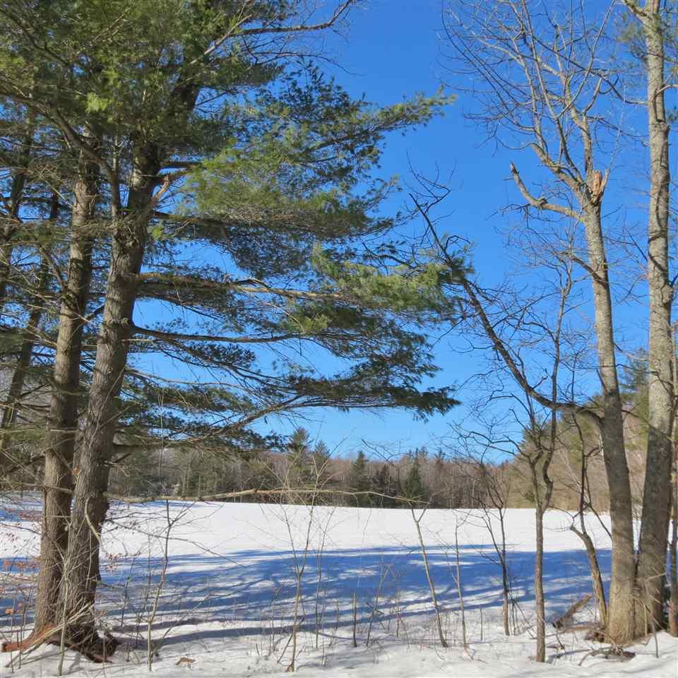 lot 3 Commonwealth Avenue - Photo 1