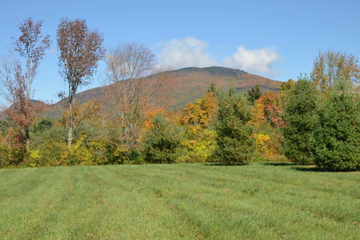 Lot 1 Lewis Bend - Photo 1