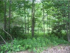 0 Rt. 202 And Nippo Court - Photo 1