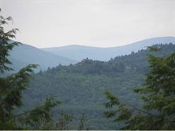 Lot 7 Quarry Road - Photo 1