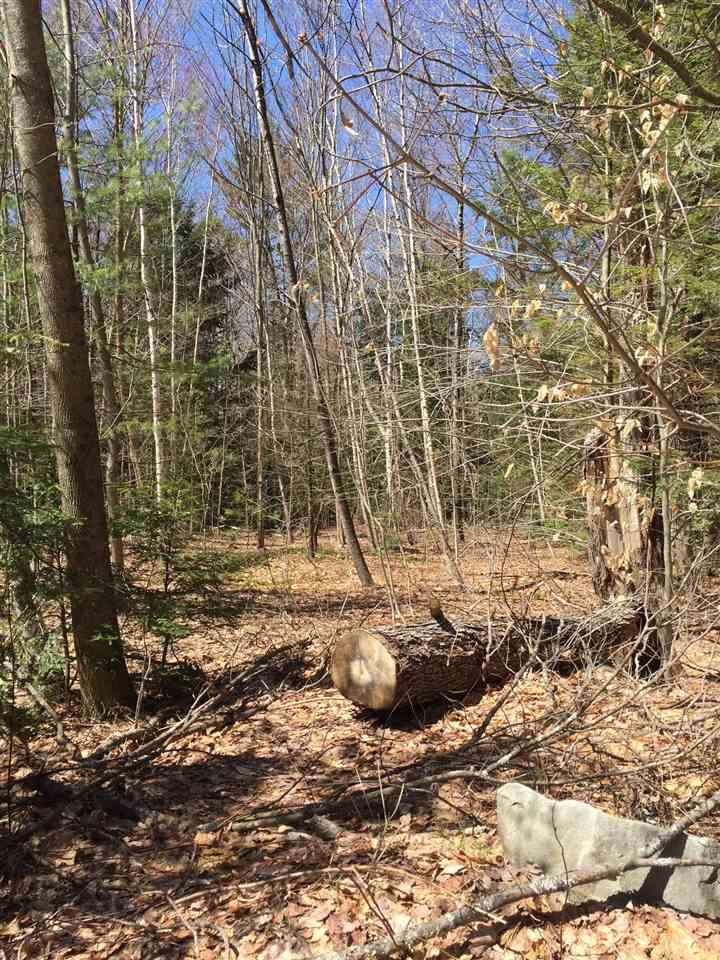 00 Birch Hill Circle - Photo 1