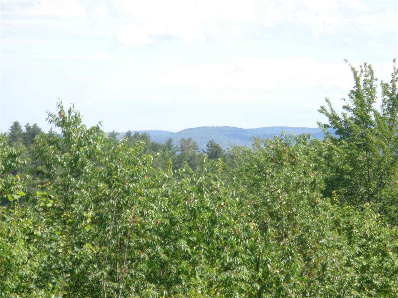 0 Perkins Hill Road - Photo 1