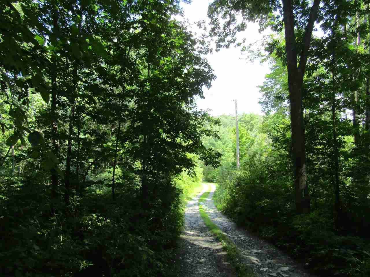 195 Fisher Road - Photo 1