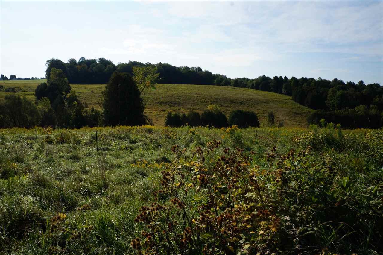 Richardson Road - Photo 1