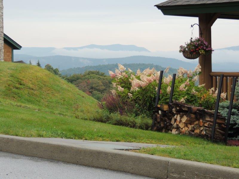 3B Balsam Corner - Photo 1