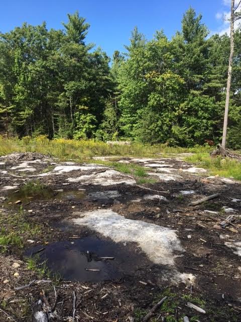 0 County Road - Photo 1
