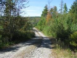 16 Jesse Lane - Photo 1