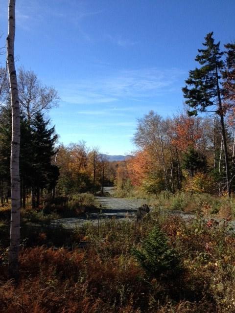Lot #4 Woodsman Rd Ext - Photo 1