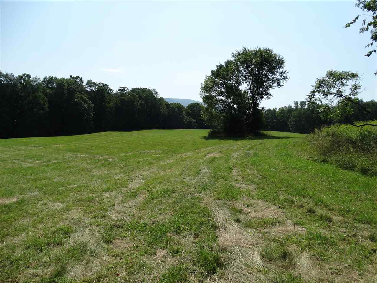 78 Abbott's Road - Photo 1