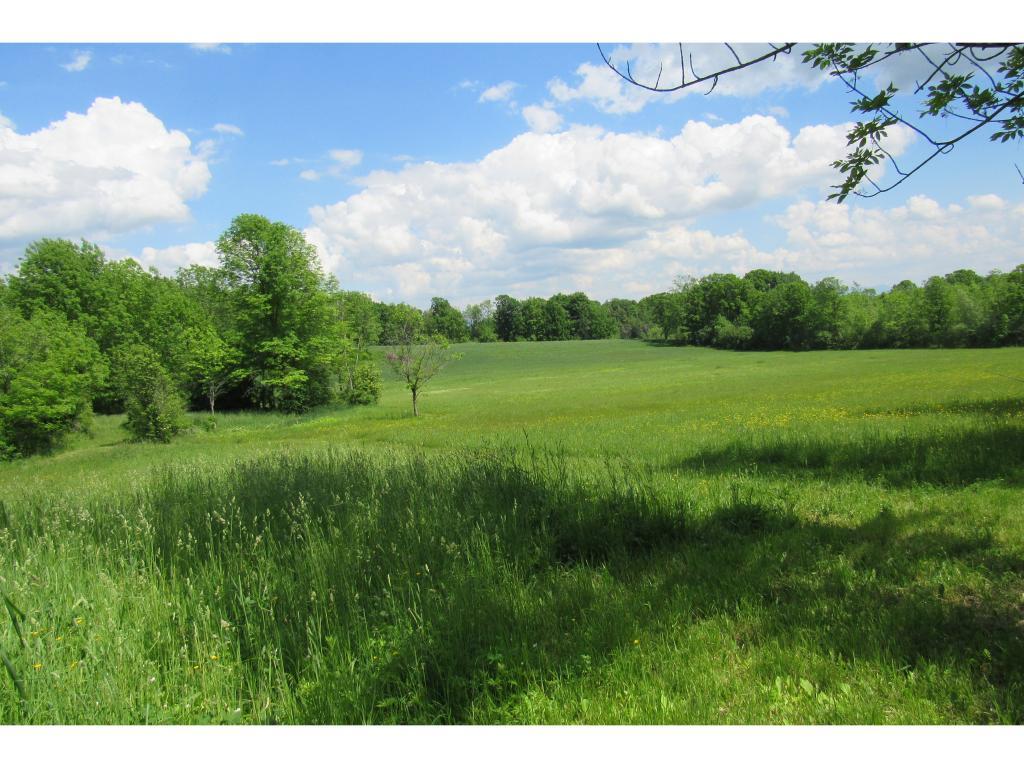 Lot #4 Church Hill Road - Photo 1