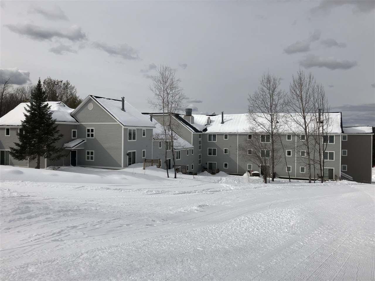 113 Trailside Condos, 2-13 Road - Photo 1
