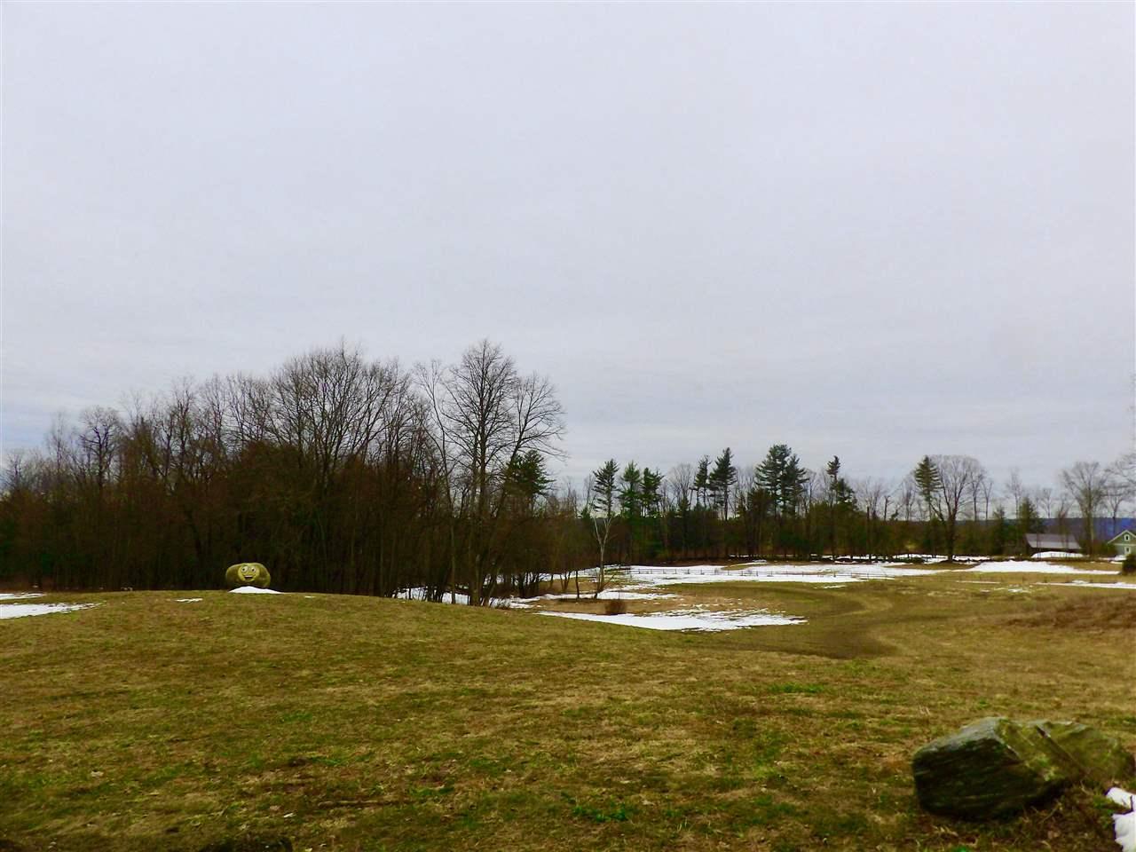 Lot 3 & 4 Wentworth/Hooper Road - Photo 1