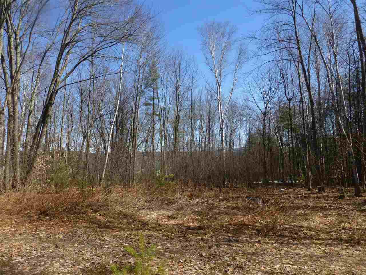 471 Shaker Road - Photo 1