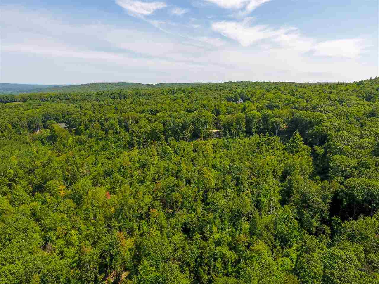 559-B1 A Bear Hill Road - Photo 1