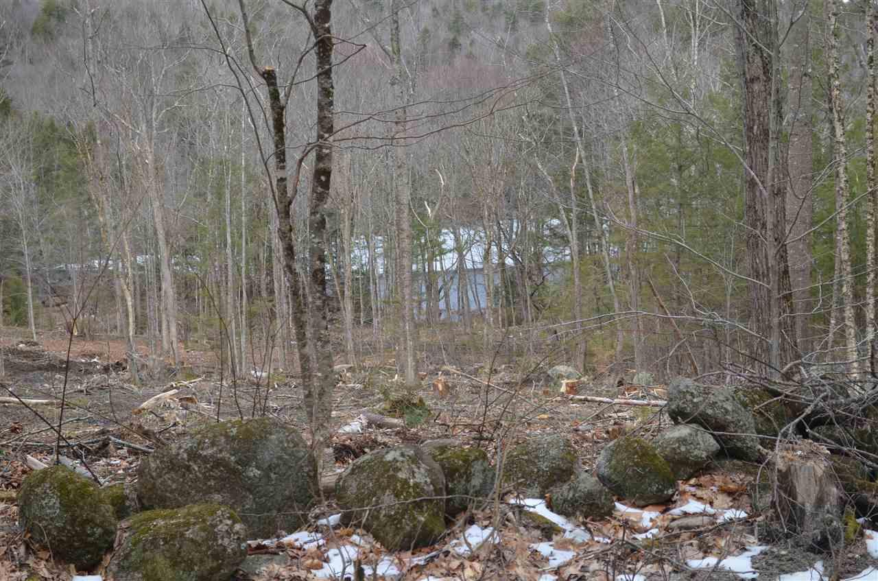 Lot 2 Birch Hill Road - Photo 1
