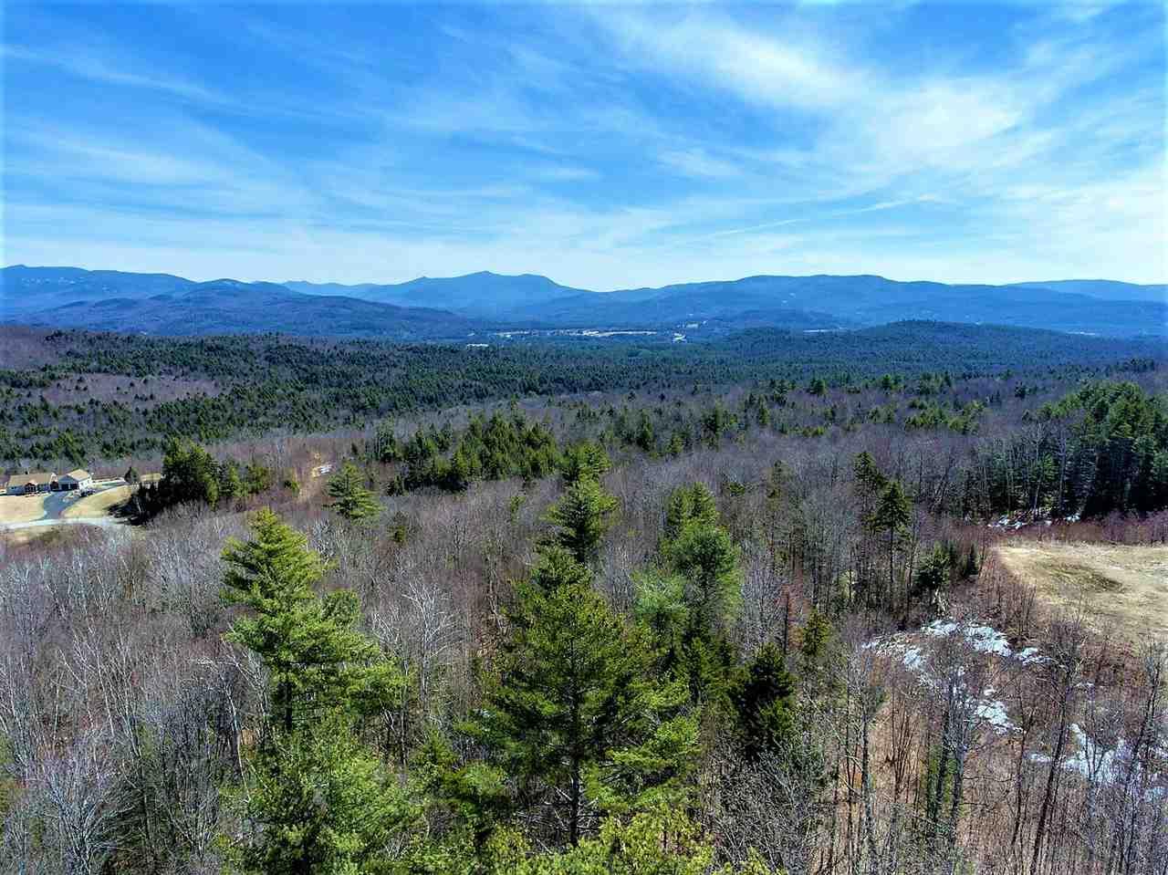 Lot 3 Puckerbrush Road - Photo 1
