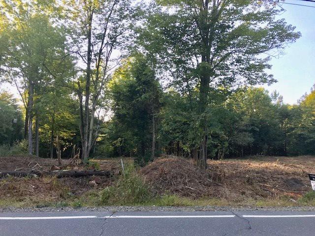 00 New Hampton Road - Photo 1