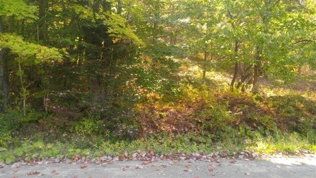 Lot 7 Bartlett Road - Photo 1