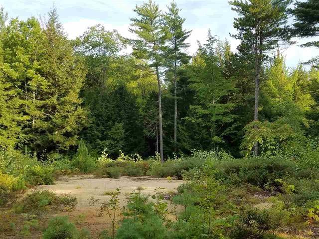 0 Saddle Back Circle - Photo 1