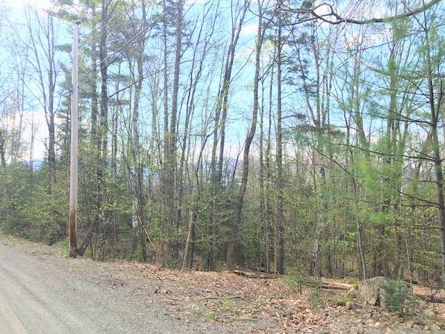 Lot 1 Forest Road - Photo 1