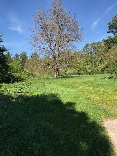 356 Island Pond Road - Photo 1