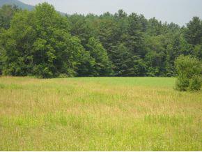 A Mt. Aeolus Road - Photo 1