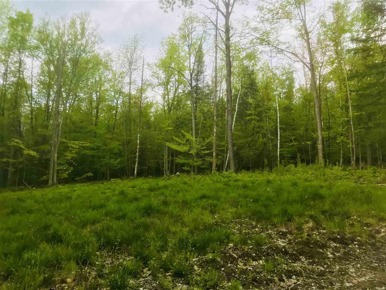 Lot 4 Gilman Hill Road - Photo 1