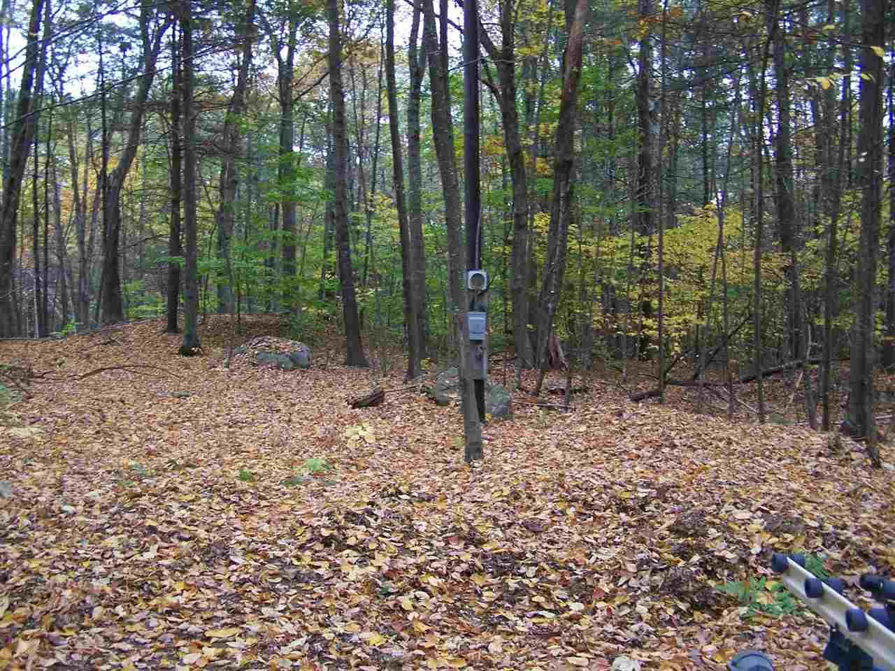 5 South Road - Photo 1