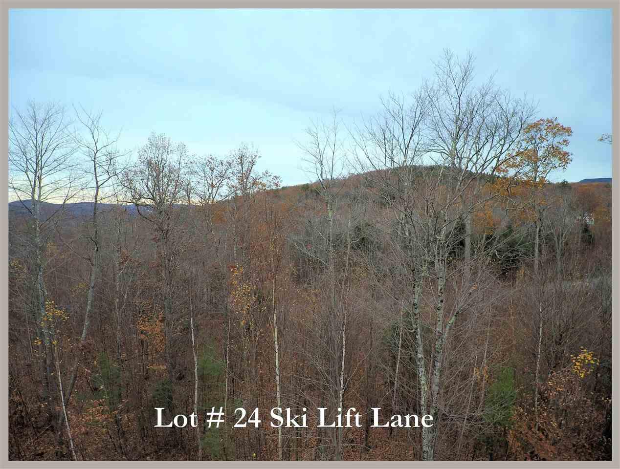 Lot 24 Ski Lift Lane - Photo 1