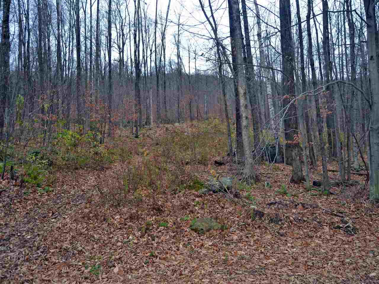 Lot 4 Sugar Ledge Road - Photo 1