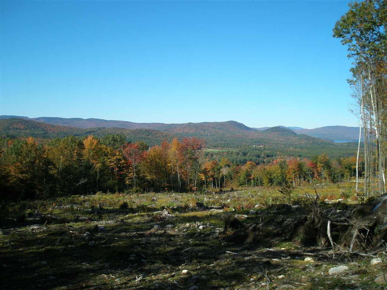 lot 4 Mathews Road - Photo 1