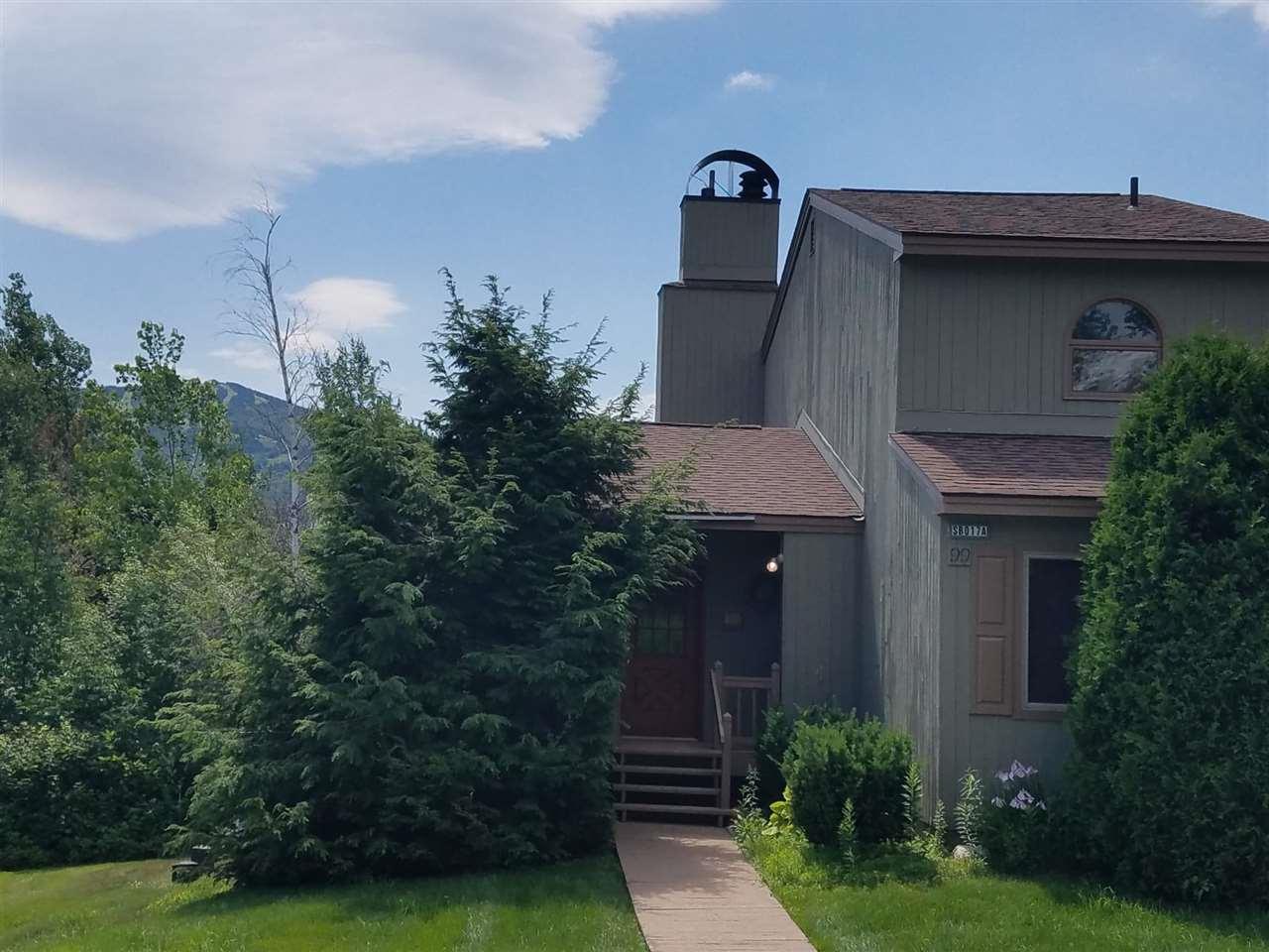17A Silver Birch - Photo 1