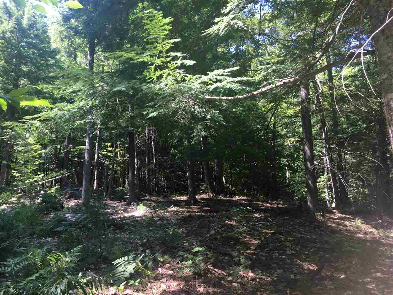 2 Pond View Drive - Photo 1