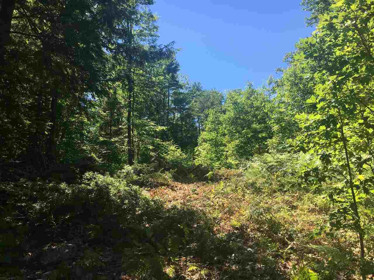 3 Pond View Drive - Photo 1