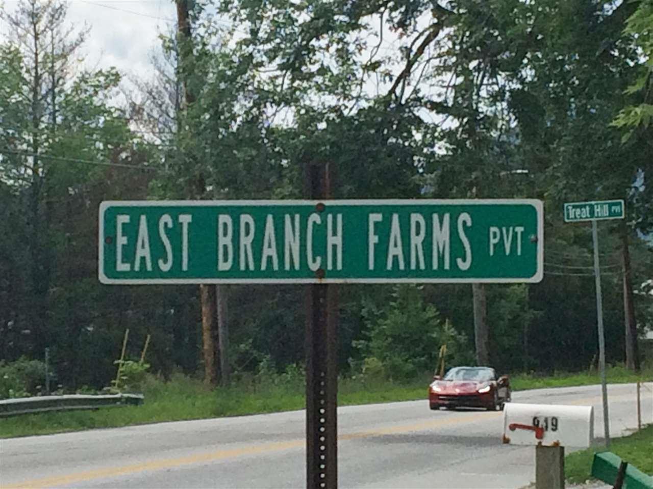00 East Branch Farms Road - Photo 1