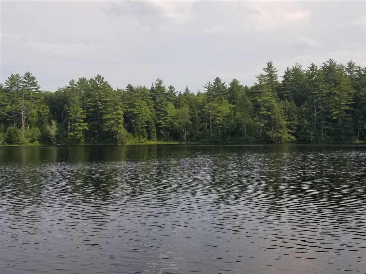 Forest Pond Road - Photo 1