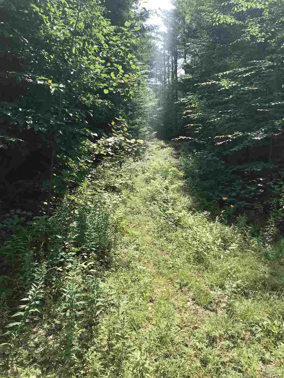 303 Gilsum Mine Road - Photo 1