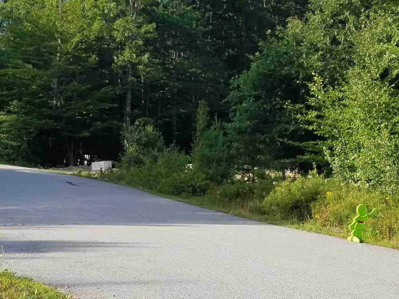 00 Calef Drive - Photo 1