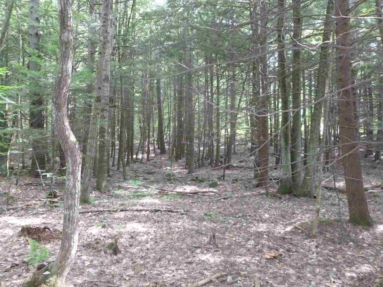 Lot 22-19 Hemlock Road - Photo 1