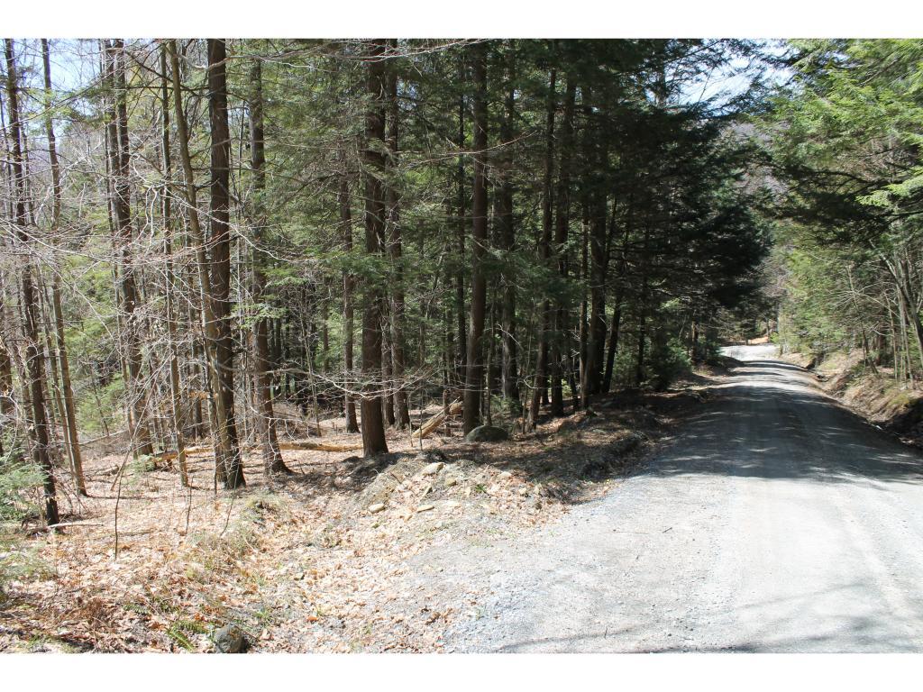 Lot 12-013 Vulture Mountain Road - Photo 1